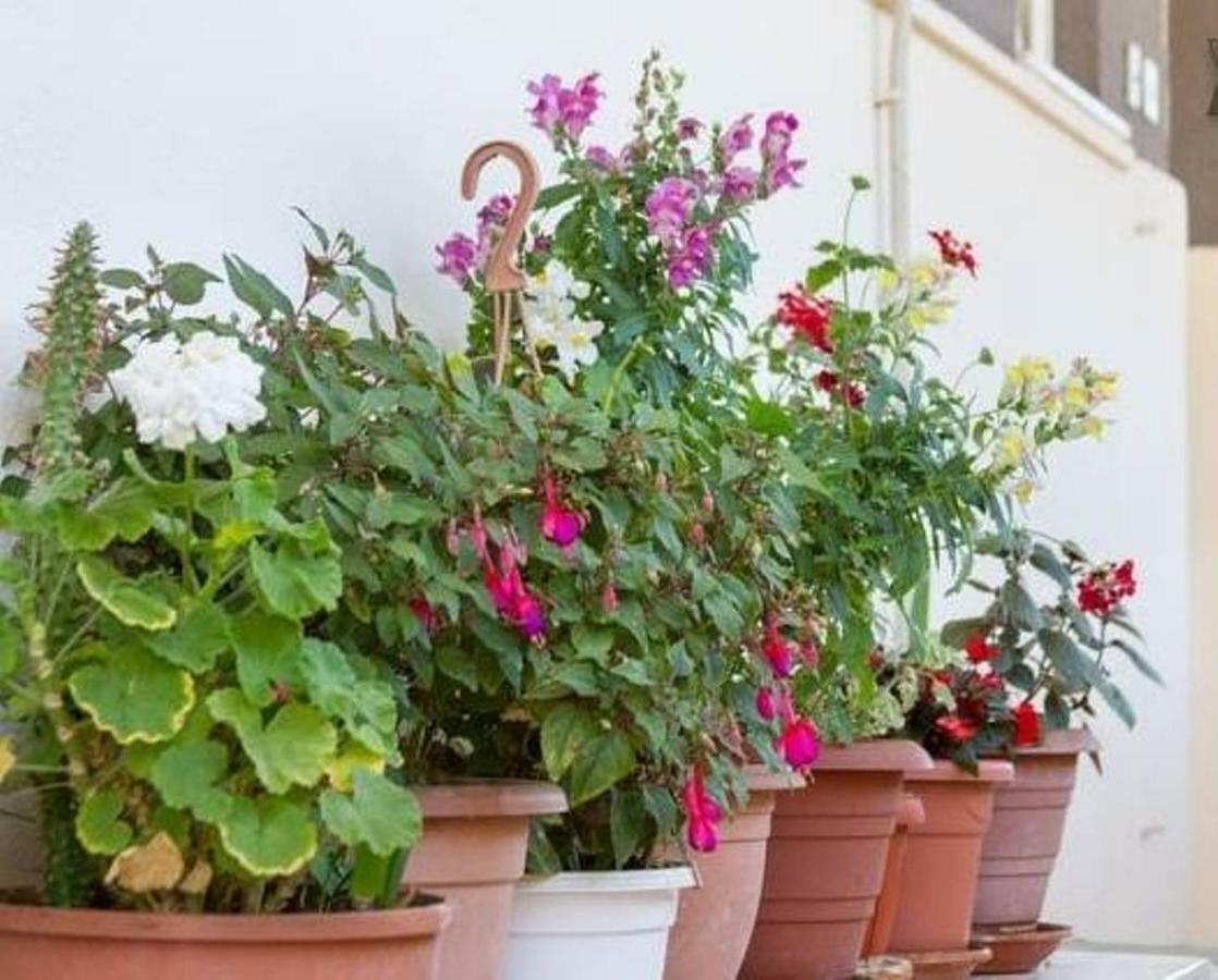 Rooms Alijev Split Ngoại thất bức ảnh